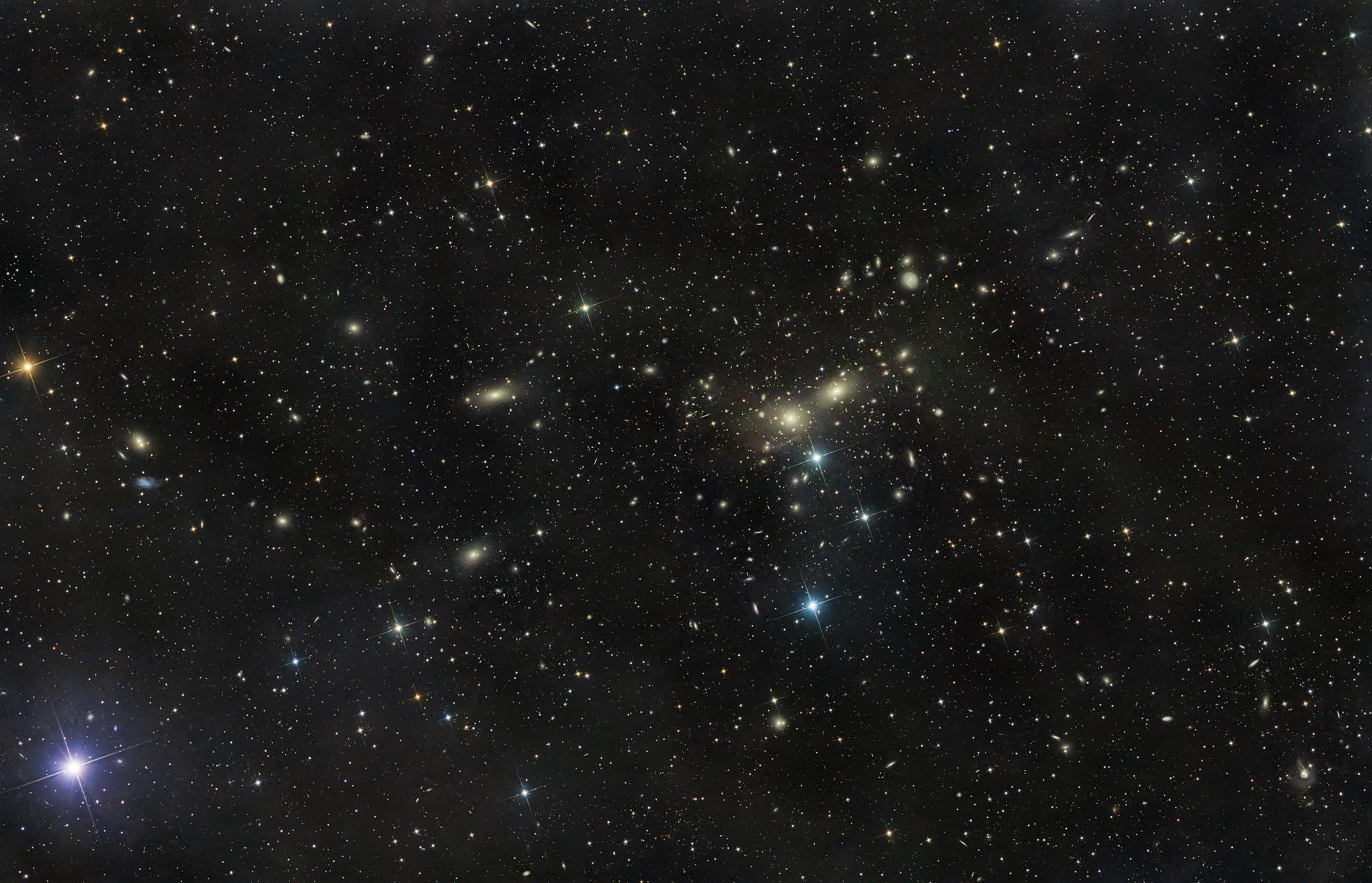 The Coma Galaxy Cluster Abell 1656 is a huge collection of over 1000 galaxies in the constellation Coma Berenices. The galaxy cluster has an angular size of about 3° × 5°.